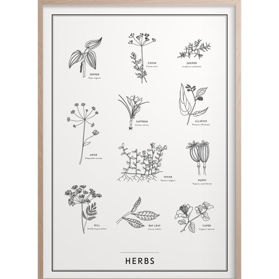 Inredning Kunskapstavlan® Posters | Herbs Poster 50X70 Cm