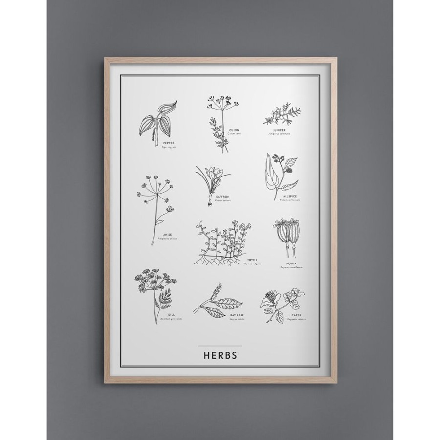 Inredning Kunskapstavlan® Posters | Herbs Poster 50X70 Cm