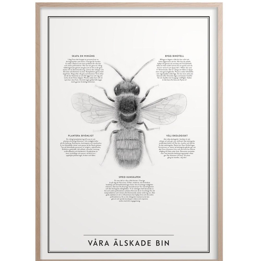 Inredning Kunskapstavlan® Posters | Vara Alskade Bin Poster 30X40 Cm